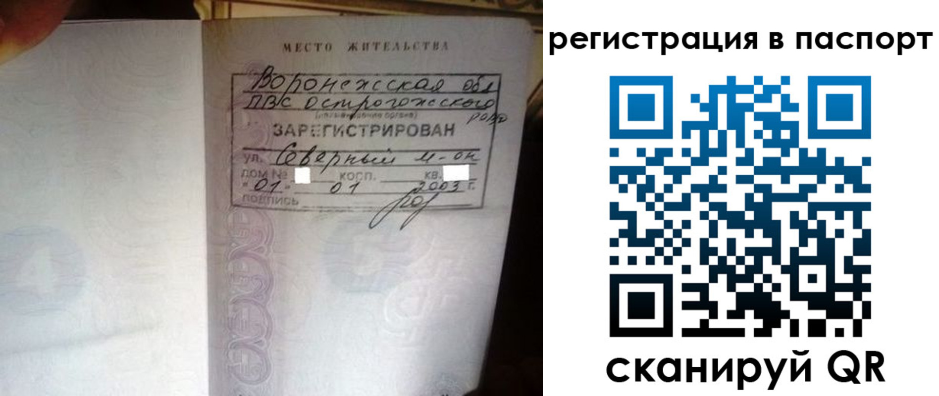 прописка для школы в Ершове